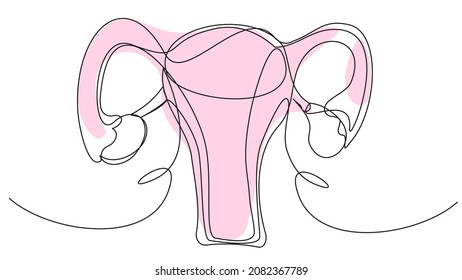  Woman's uterus in one line with a pink spot on a white background. A simple illustration of a woman's reproductive organs. The concept of health, childbirth, menstruation, 