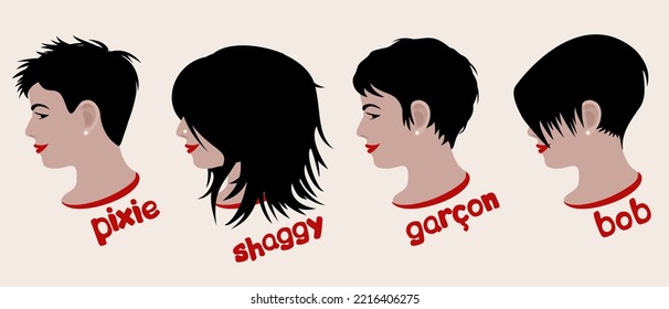 Woman's various hairstyles. Pixie, shaggy, garcon, bob. Vector collection isolated on light background.