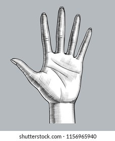 Woman's wide opened hand palm down spread the five fingers. Vintage engraving stylized drawing. Vector illustration