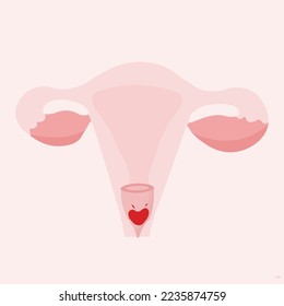 Womb anatomy with inserted menstrual cup inside flat illustration. Menstruation ecological care concept.