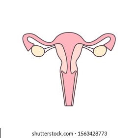 Womb, uterus flat vector illustration. Woman reproductive system outline color icon. Obstetrics and gynecology clinic logo design element. Vagina, cervix, endometrium, fallopian tubes and ovary.