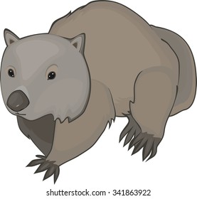 Wombat