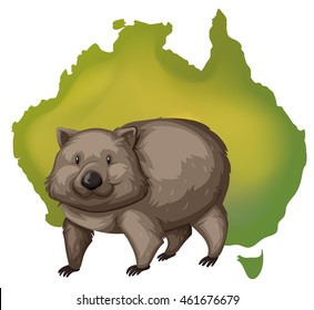Wombat and Australia map illustration