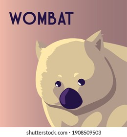 wombat australian animal wildlife native vector illustration