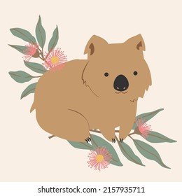 Wombat Bear Native Australian Animals Eucalyptus Gum Blossom Flower Leaves