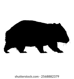 Wombat Black Silhouette Full Body Illustration