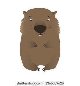 Wombat Cartoon Character Isolated On White Background. Cute Native Australian Animals Hand Drawn Vector Illustration