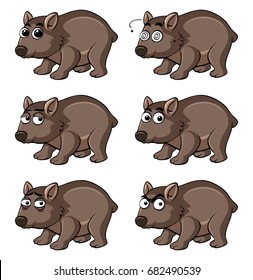 Wombat With Different Emotions Illustration