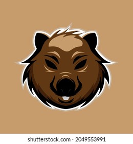 wombat face illustration.can be used for logo deesign template