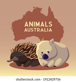 wombat and hedgehog australian continent map animal wildlife vector illustration