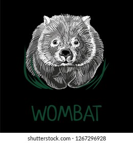 Wombat illustration  on isolated black background.  Scalable design. Print for t-shirt or any other surfase. 