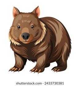 Wombat Illustration on White background