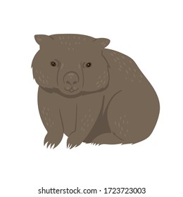 Wombat isolated on a white background. Vector graphics.