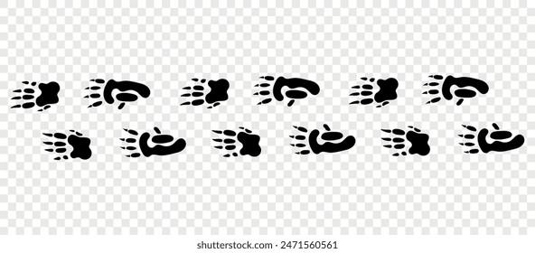 Wombat paws. Footpath trail of animals. Paw foot trail print of Wombat on white background.Vector animal steps in black color.