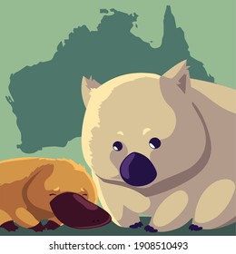 wombat and platypus australian continent map animal wildlife vector illustration