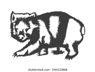 Wombat Silhouette Isolated On Whute Background