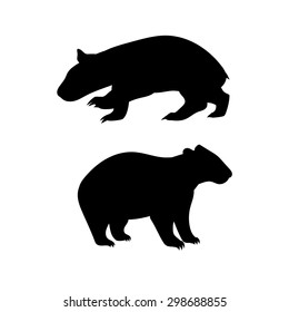 Wombat vector icons and silhouettes. Set of illustrations in different poses.