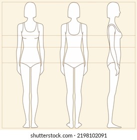 Women body proportions for sewing clothing. Bust waist hips line. Female figure Fashion croquis technical drawing Front back side Vector illustration.