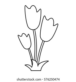 women day tulip bunch flower thin line