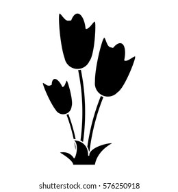women day tulip bunch flower pictogram