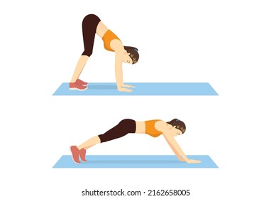 Women Do Inchworms Pose Or Walkouts Exercise On The Exercise Mat. Illustration About Workout Diagram That Targets Abs And Hip And Lower Back.