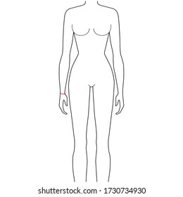 Women to do wrist measurement fashion Illustration for size chart. 7.5 head size girl for site or online shop. Human body infographic template for clothes. 