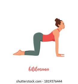 Women doing Cow yoga pose. Bitilasana. Flat vector illustration isolated on white background