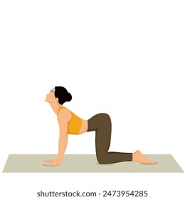 Women doing Cow yoga pose. Bitilasana. Flat vector illustration isolated on white background.