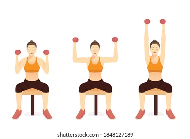 Women doing Military Dumbbell Press on bench. Illustration about exercise diagram for arm and chest and shoulder.