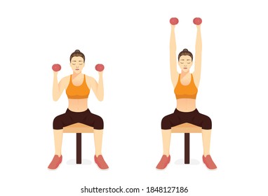 Women doing Seated Dumbbell Shoulder Press on bench. Illustration about exercise diagram for arm and chest and shoulder.