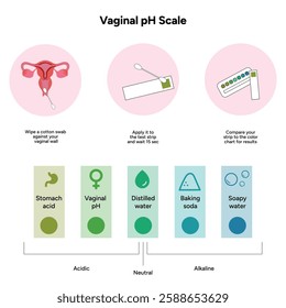 Women female ph scale balance with instruction. Intimacy Acidic, neutral and alkaline scale ph levels