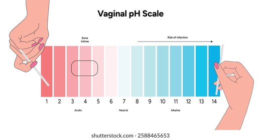 Women female vaginal ph scale balance with instruction. Intimacy Acidic, neutral and alkaline scale ph levels with hand illustration 