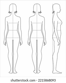 Women figure. Body proportions for sewing clothing. Bust waist hips line. Female silhouette. Front back side view Fashion croquis Vector illustration.