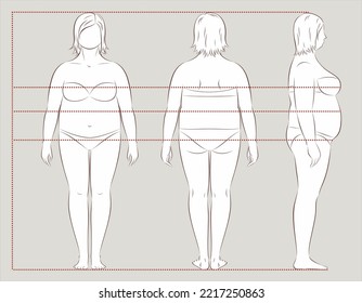 Women figure increased fat deposition. Female overweight body proportions sewing clothing. Bust waist hips line. Front back side. Vector illustration.