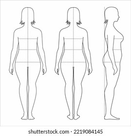 Vector outline measurements of the female body 3238343 Vector Art