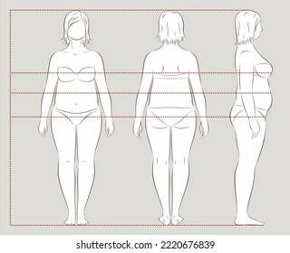 Women figure increased fat deposition. Female overweight body proportions sewing clothing. Bust waist hips line. Front back side. Vector illustration.