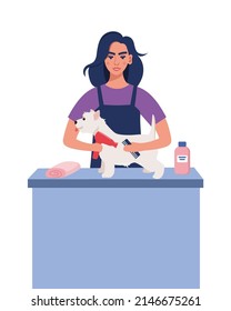 Women Hairdresser Grooming A Dog In Pet Groom Saloon. Woman With Hair Dryer And Comb In Her Hands Dries The Dog's Fur. Pet Grooming Salon. Vector Illustration