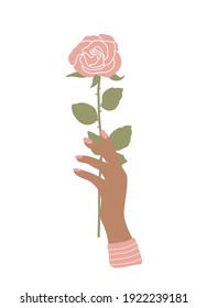 Women hand  hold a rose flower.Vector flower illustration for festive design,prints,greeting cards.
