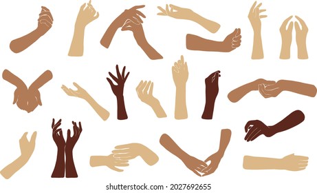 Women hands diversity. Elegant female arms of different gestures touch or hold something pose collection.