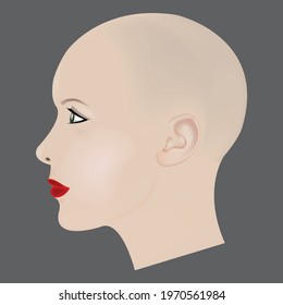 women head beautiful vector art
