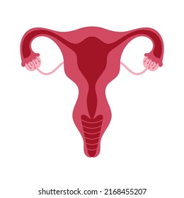 Women Health Uterus Floral Ovary Reproductive Stock Vector (Royalty ...