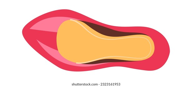 Women Heeled Shoe Vector Illustration