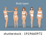 Women in lingerie showing different body shapes. Female body types: apple, pear, triangle, rectangle, sand molds. Vector illustration.