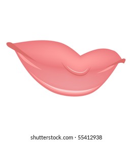 Women lips