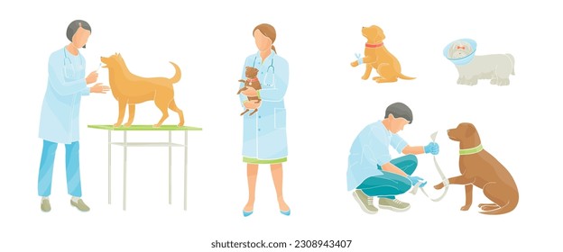 women and man veterinarian examines a dog. Veterinary clinic, medical service or pet medical center