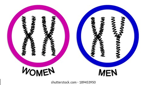 symbol for female chromosome