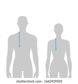 Women and men to do armscye depth measurement fashion Illustration for size chart. 7.5 head size girl and boy for site or online shop. Human body infographic template for clothes. 