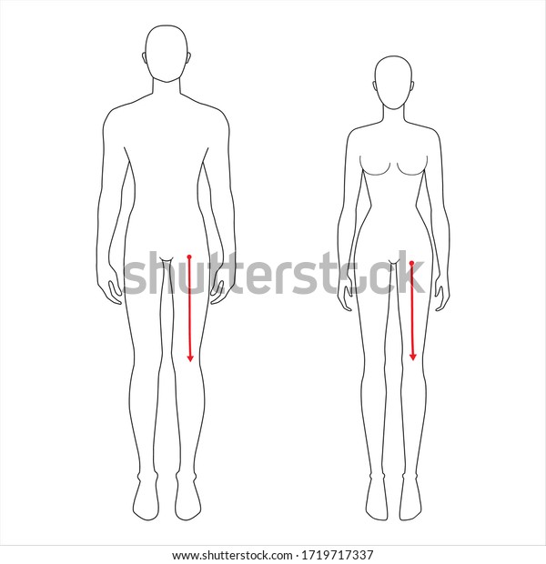 女性と男性が股間で膝を測るファッションイラストサイズチャート 7 5 現場やオンラインショップ向けの女の子と少年 衣服の人体インフォグラフィックテンプレート のベクター画像素材 ロイヤリティフリー