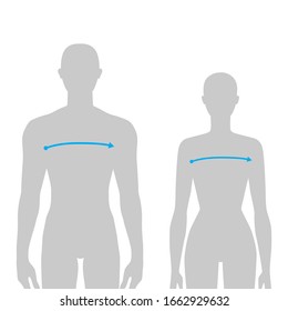 Frauen und Männer für x-front- und x-back-Messtechnik Illustration für Größendiagramme. 7.5 Headsize Mädchen und Junge für Website oder Online-Shop. Menschliche Körper Infografik Vorlage für Kleidung. 