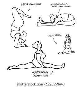 Women performing yoga poses. Hand drawn flat vector illustration for fashion, cards, information. Pincha mayurasana, pashimotanasana, seated forward bent, homukhasana, hanumanasana, monkey pose